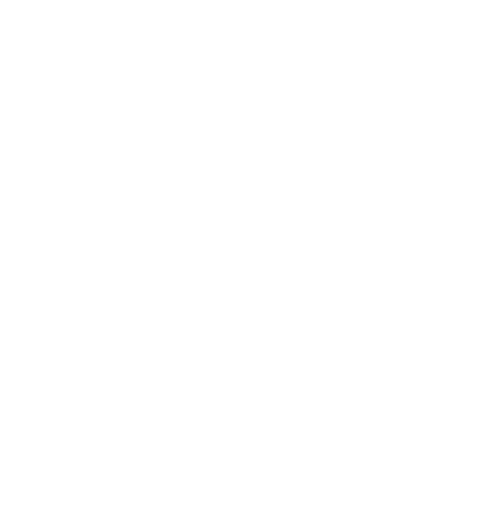 Deliver technical solutions icon